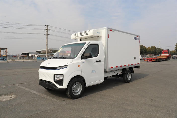 吉利FIE3.1米小型电动冷藏车